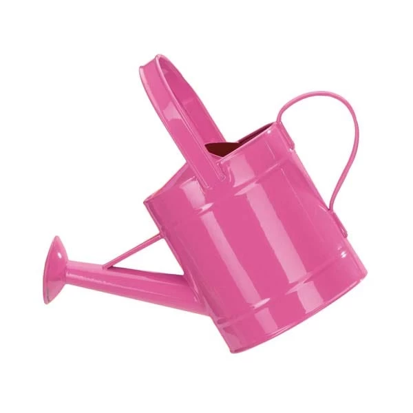Pink Watering Can