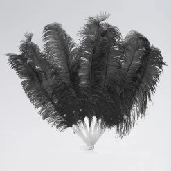 Large 7 Feather Fan (Black)