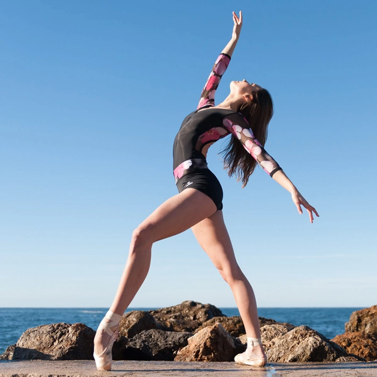 Dansez 1901 Mesh Sleeve Leotard