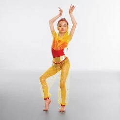 Voile Harem Pants With Veil